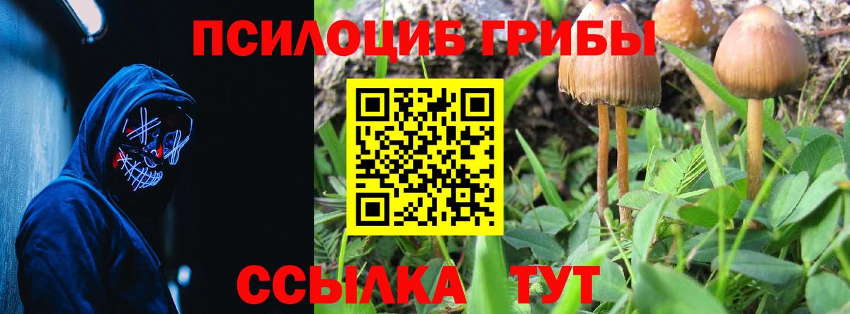 Галлюциногенные грибы MAGIC MUSHROOMS  Вход с VPN  Камышлов 